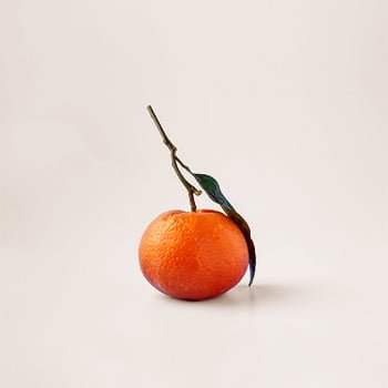 Exemple d'une image d'une orange impactante